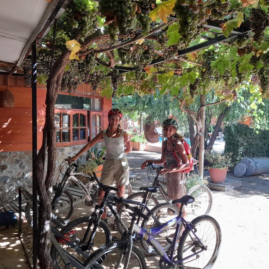 Cabanas Refugio Nativo Santa Cruz Dış mekan fotoğraf